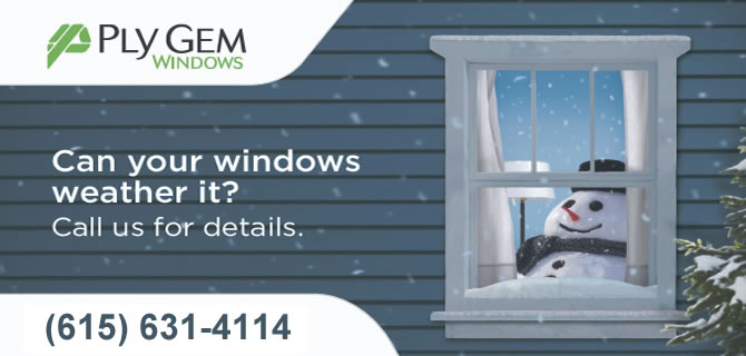 energy efficient windows